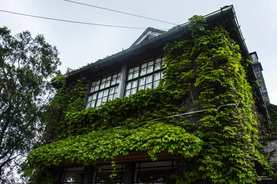 Photo of The Mystic Morgan House of Kalimpong by Tiara Dhar