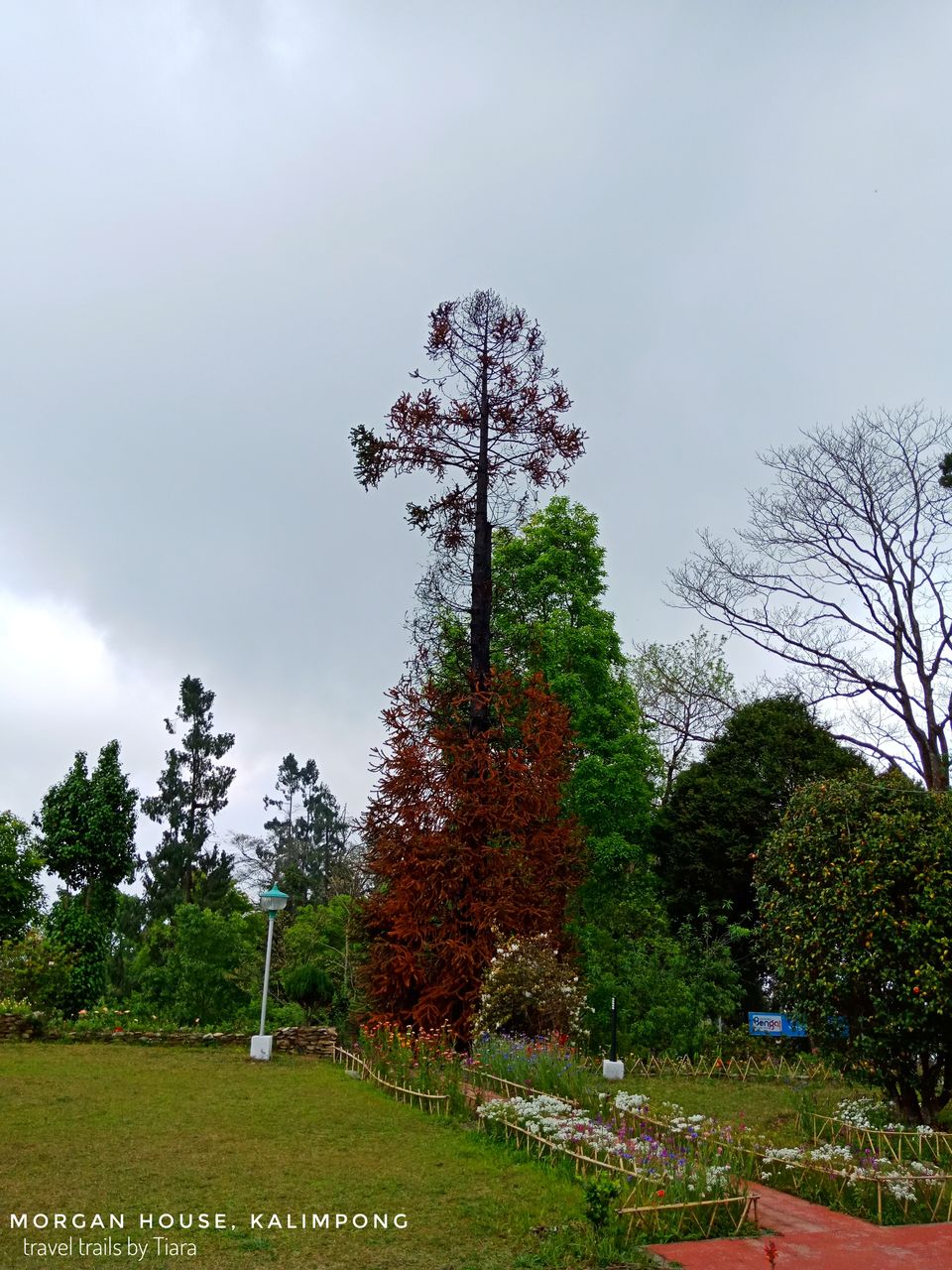 Photo of The Mystic Morgan House of Kalimpong by Tiara Dhar