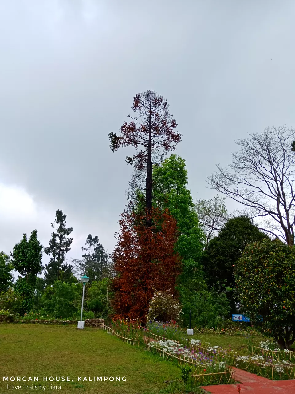 Photo of The Mystic Morgan House of Kalimpong by Tiara Dhar