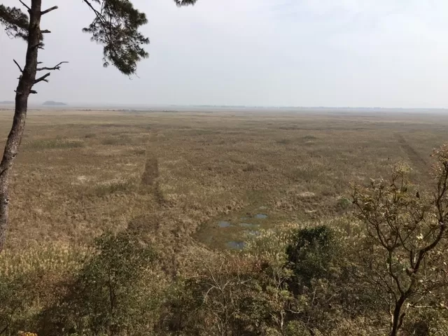 Photo of Keibul Lamjao National Park, Bishnupur, Manipur, India by Soumya Kanti Samanta