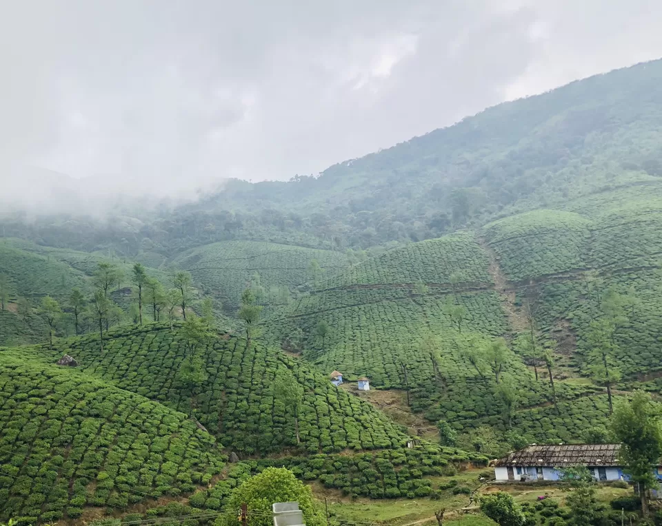 Photo of Valparai, Tamil Nadu, India by Akshra Sharma