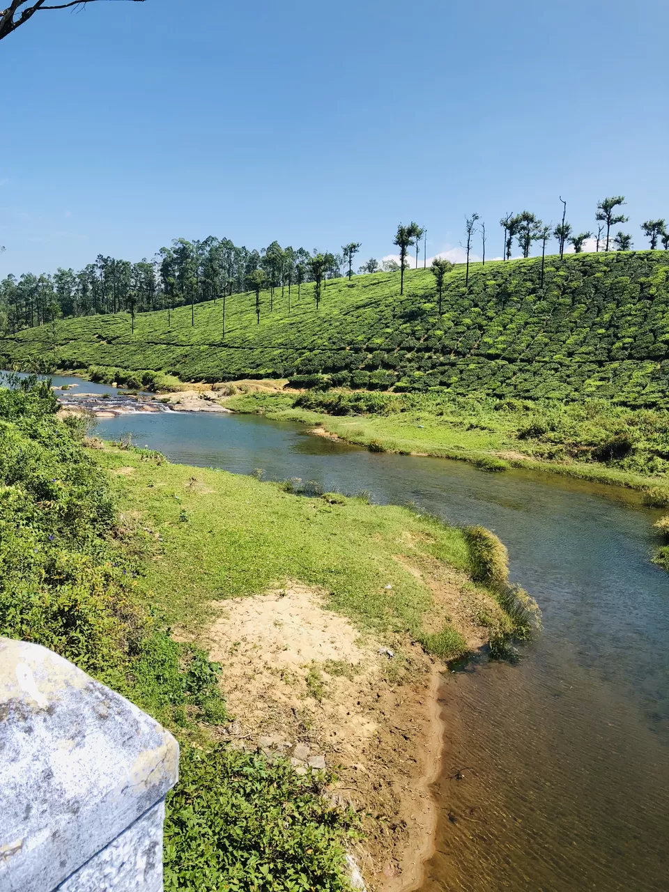 Photo of Tamil Nadu's Beautiful Tea Estate - Valparai by Akshra Sharma