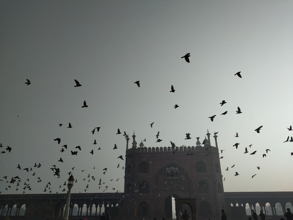 Photo of Jama Masjid, Chandni Chowk, New Delhi, Delhi, India by Nida Ansari