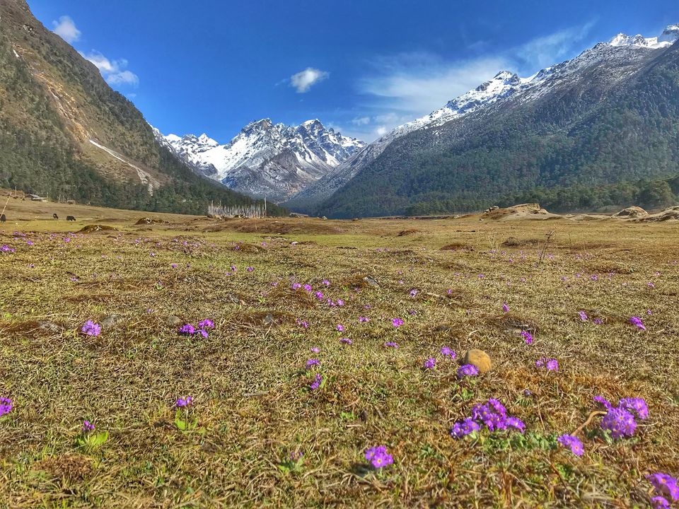 Photo of BACKPACKING TO SIKKIM 2/4 by ALOK SINGH