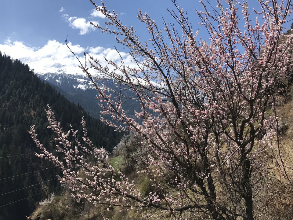 Photo of KHEERGANGA TREK: BACKPACKING TIPS 4/4 by ALOK SINGH