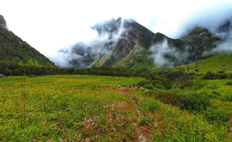Photo of VALLEY OF FLOWERS TREK : BACKPACKING TIPS 1/1 by ALOK SINGH
