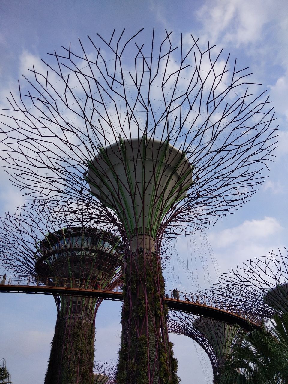 Photo of 2 Days in Singapore by Jyotsna Hans
