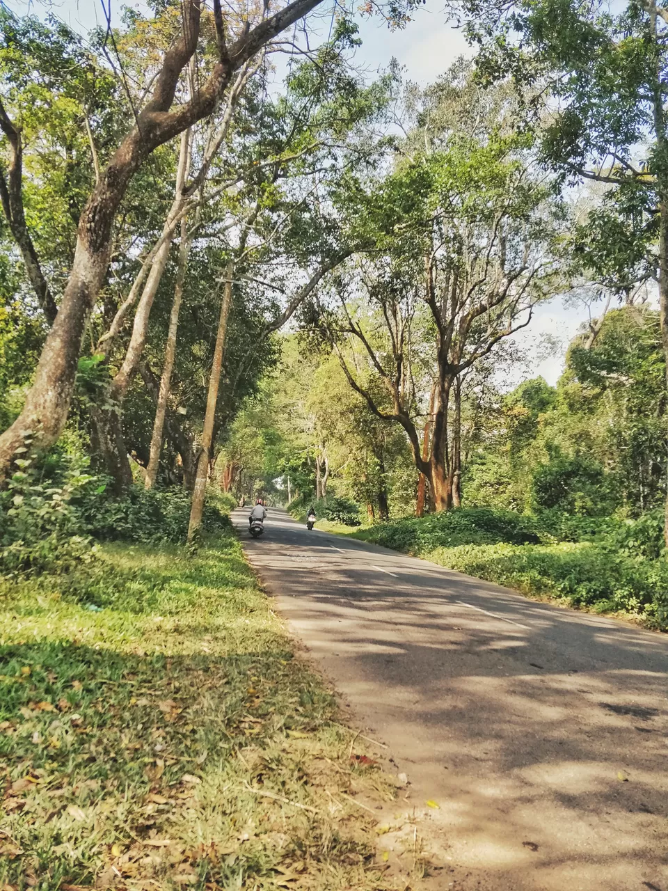Photo of A Road Trip: Bengaluru To Wayanad By Bike by Amir Shan