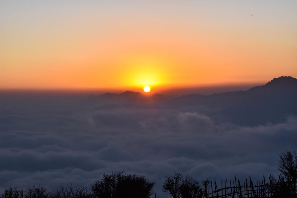 Photo of Into the Unknown Ridges of Singalila 3/12 by Saurav Ambashtha