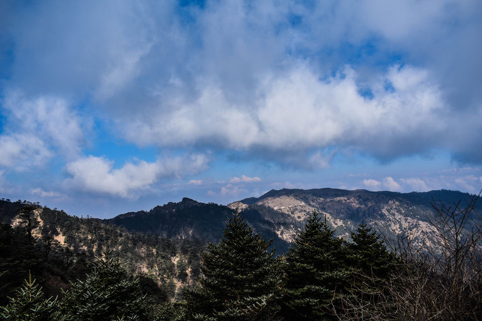 Photo of Into the Unknown Ridges of Singalila 4/12 by Saurav Ambashtha