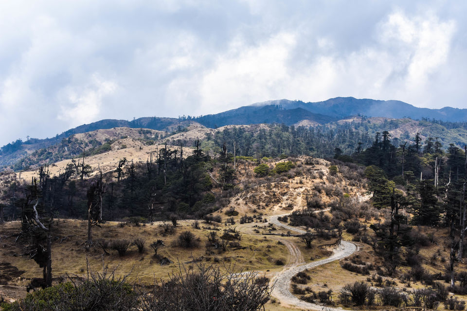 Photo of Into the Unknown Ridges of Singalila 5/12 by Saurav Ambashtha