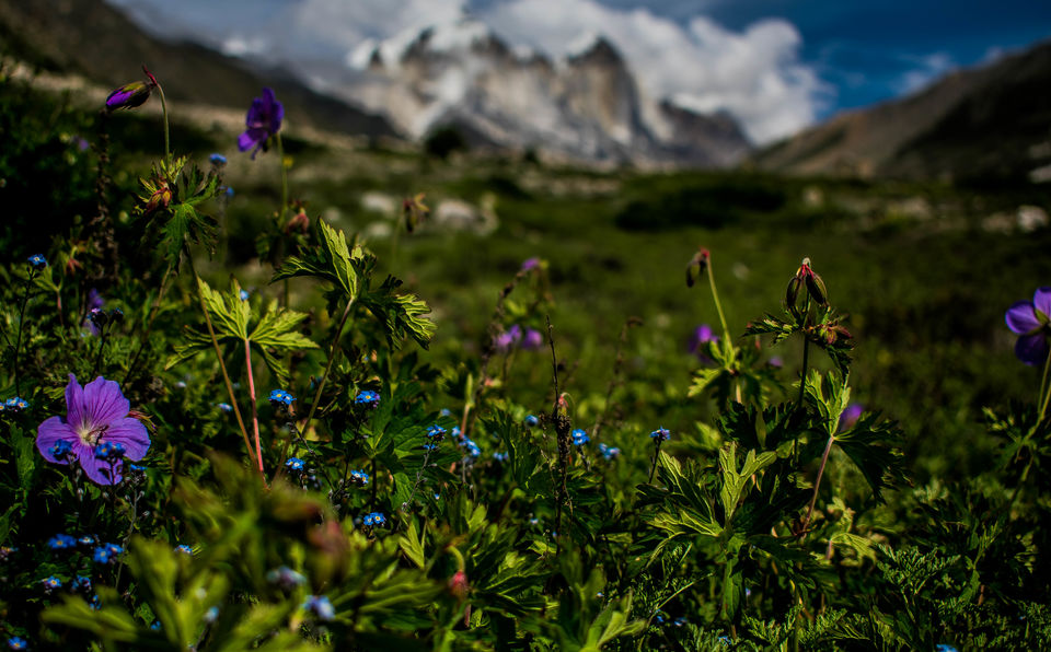 Photo of In pursuit of the origin of holiest river in himalayas 19/19 by Saurav Ambashtha