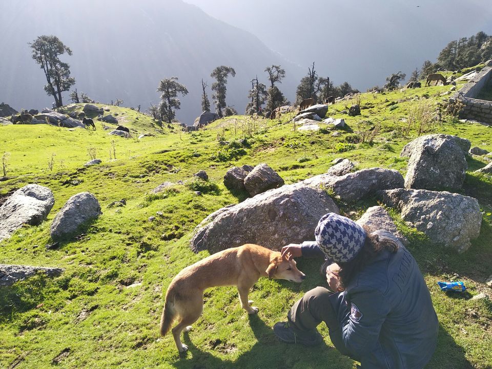 Photo of Triund Trek, Trail to Triund Hill, Dharamshala, Himachal Pradesh, India by Dr Neeraj Garg