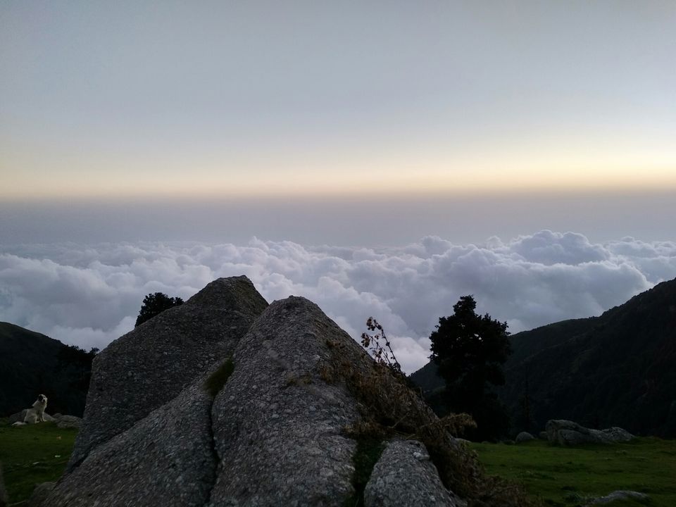 Photo of Triund Trek, Trail to Triund Hill, Dharamshala, Himachal Pradesh, India by Dr Neeraj Garg