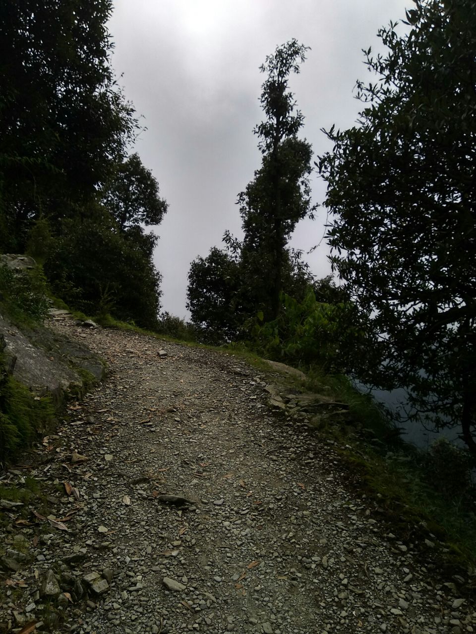 Photo of Triund Trek, Trail to Triund Hill, Dharamshala, Himachal Pradesh, India by Dr Neeraj Garg