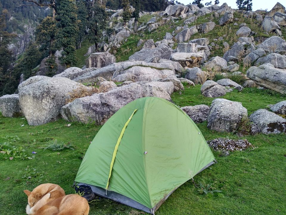 Photo of Triund Trek, Trail to Triund Hill, Dharamshala, Himachal Pradesh, India by Dr Neeraj Garg
