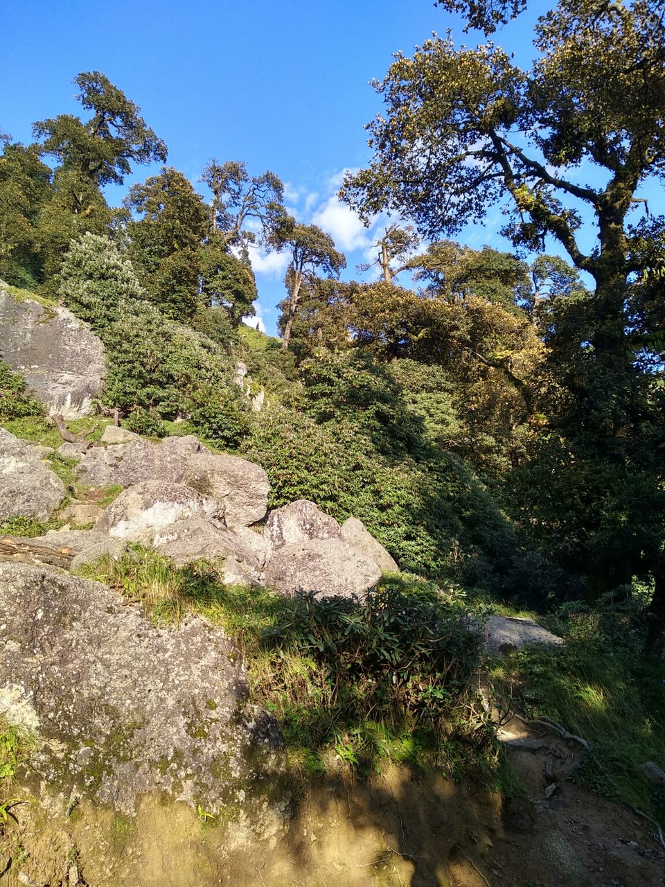 Photo of Triund Trek, Trail to Triund Hill, Dharamshala, Himachal Pradesh, India by Dr Neeraj Garg