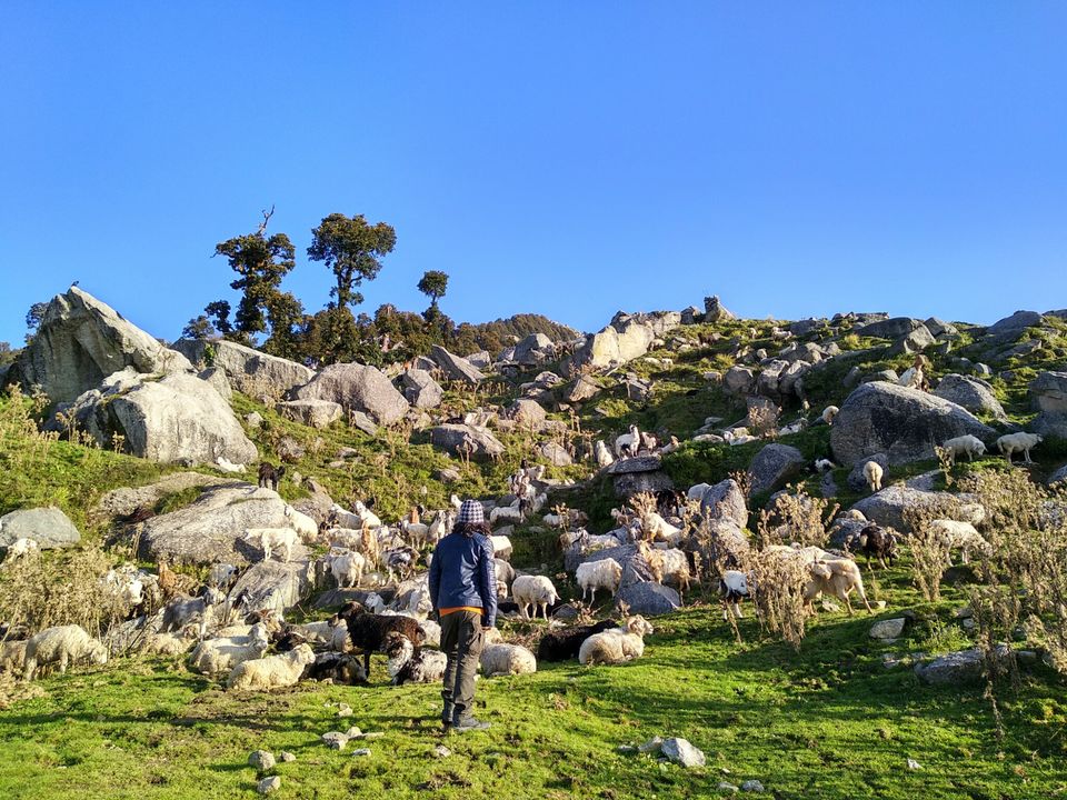 Photo of Triund Trek, Trail to Triund Hill, Dharamshala, Himachal Pradesh, India by Dr Neeraj Garg