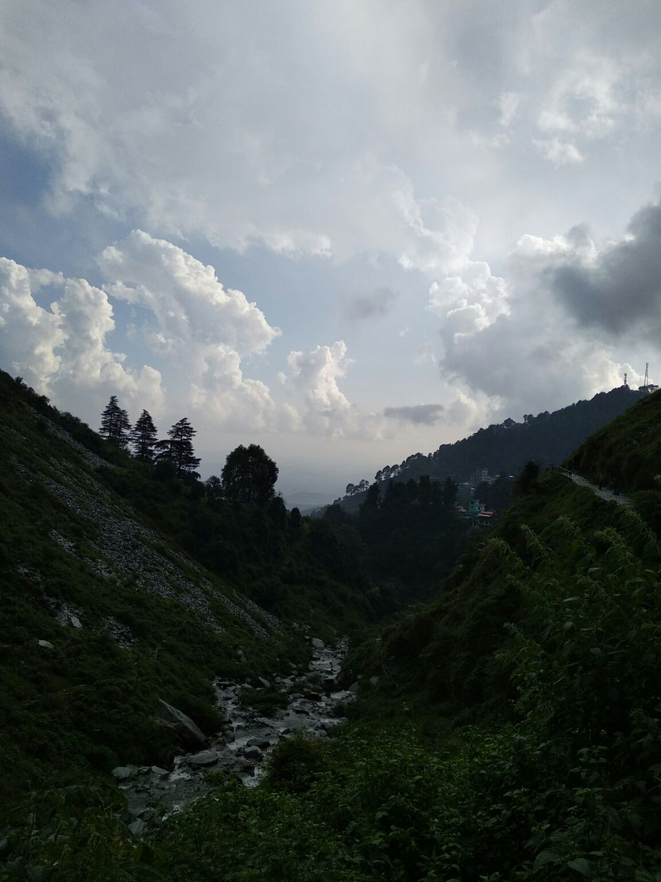 Photo of Dharamshala, Himachal Pradesh, India by Dr Neeraj Garg