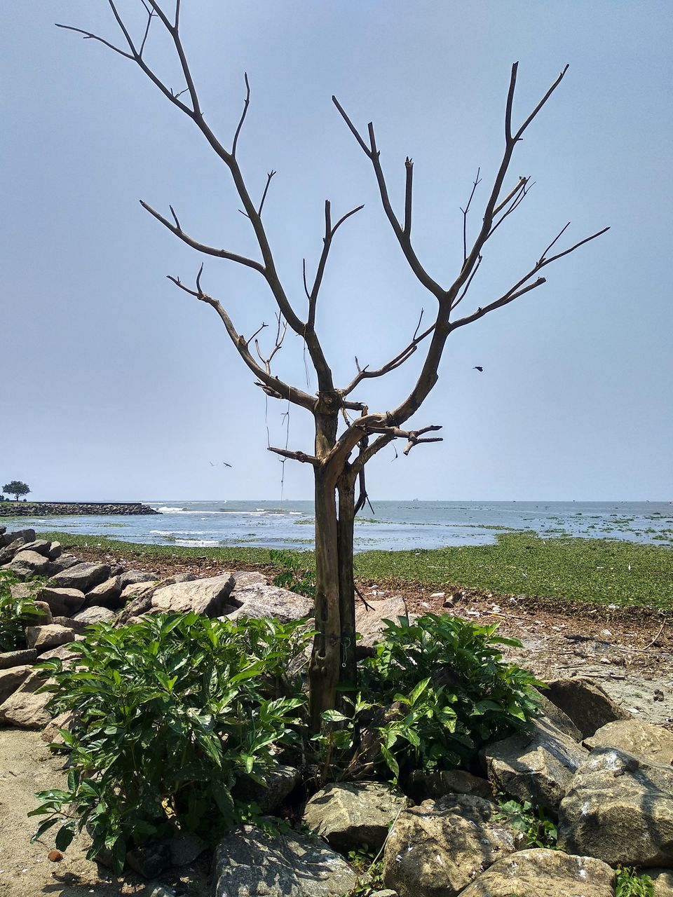 Photo of Fort Kochi Beach, Kochi by Dr Neeraj Garg