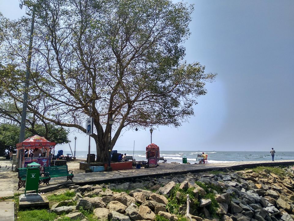 Photo of Fort Kochi Beach, Kochi by Dr Neeraj Garg