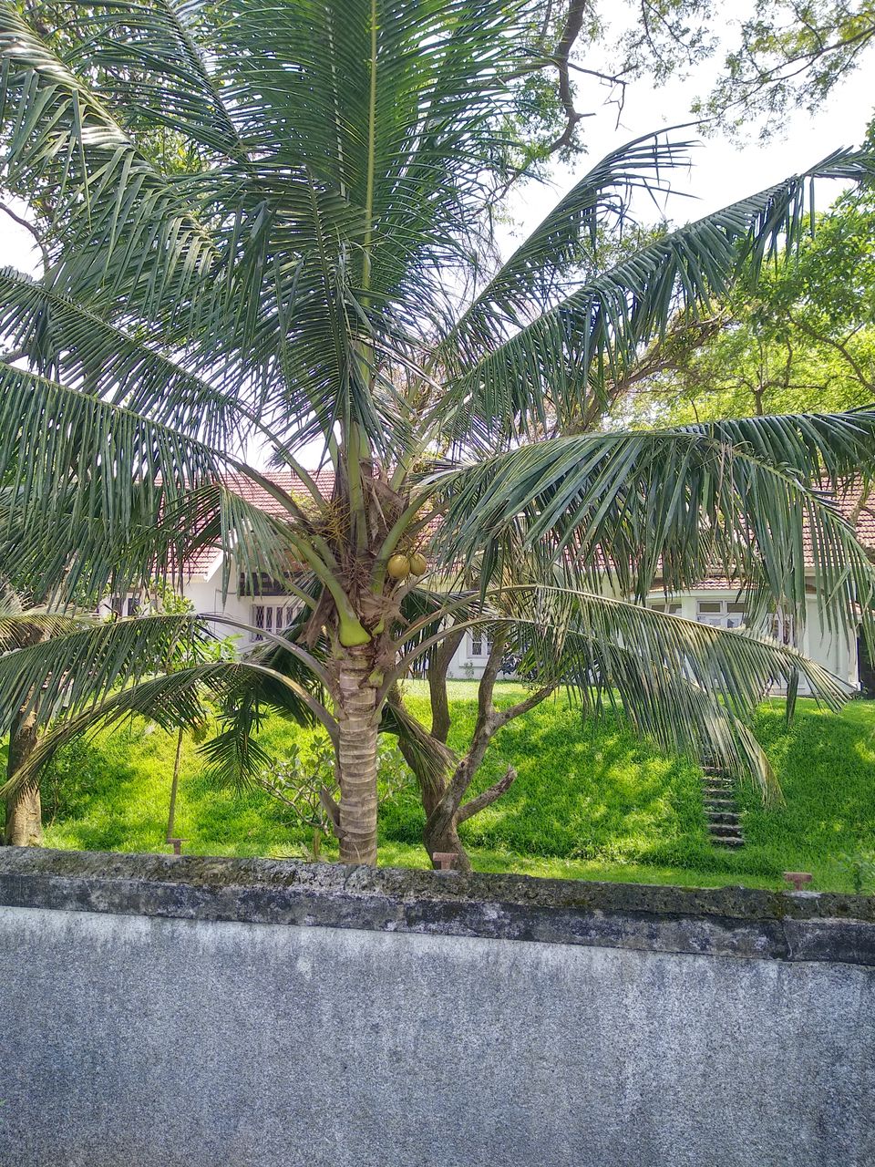 Photo of Fort Kochi Beach, Kochi by Dr Neeraj Garg