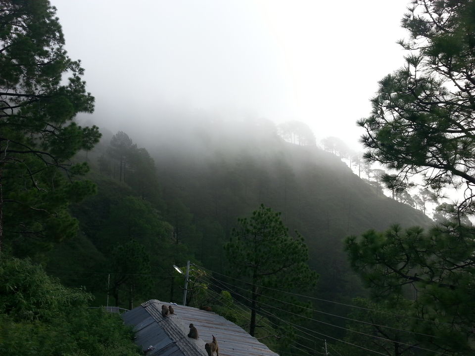 Photo of Shri Mata Vaishno Devi, Katra by Dr Neeraj Garg