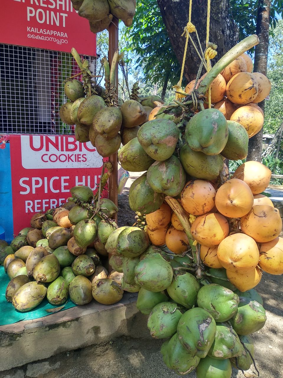 Photo of Kerala, India by Dr Neeraj Garg