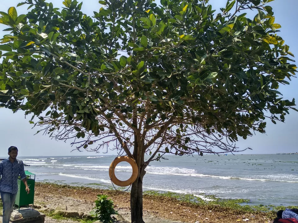 Photo of Kochi, Kerala, India by Dr Neeraj Garg