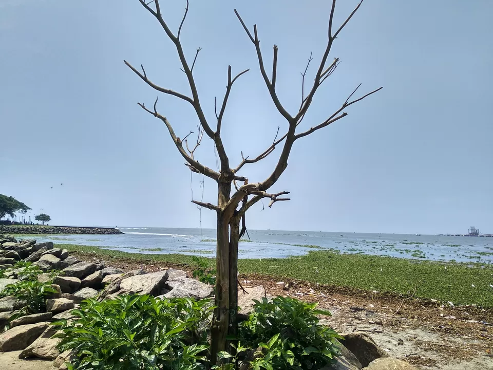 Photo of Kochi, Kerala, India by Dr Neeraj Garg