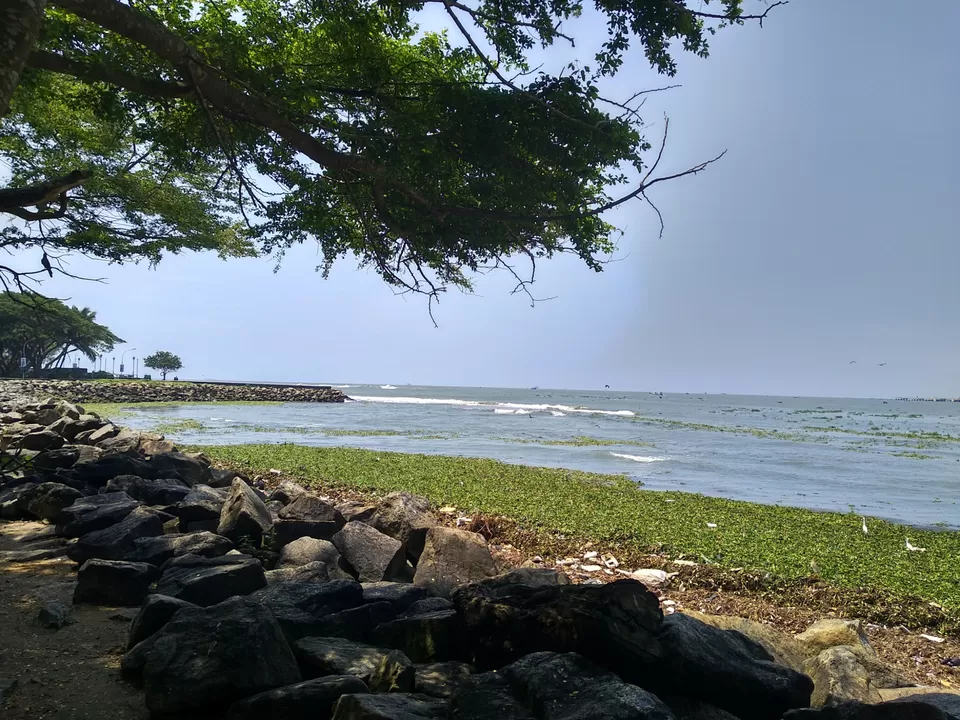 Photo of Kochi, Kerala, India by Dr Neeraj Garg