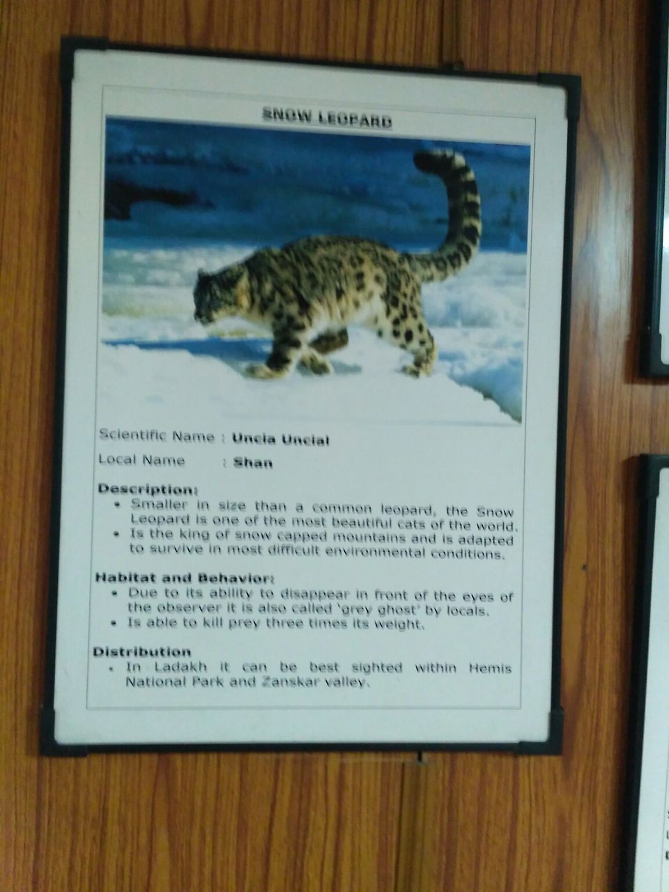 Photo of Hall of Fame, Leh by Dr Neeraj Garg