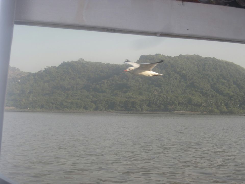 Photo of Elephanta Caves, Gharapuri, Maharashtra, India by Dr Neeraj Garg