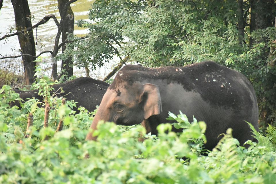 Photo of Echo Point, kulukkumalai, Munnar, Kerala, India by Dr Neeraj Garg