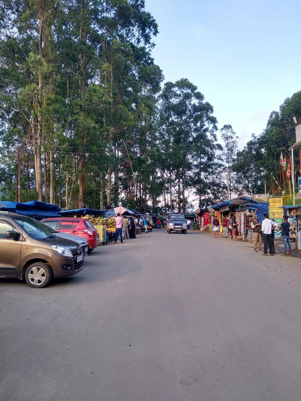 Photo of Echo Point, kulukkumalai, Munnar, Kerala, India by Dr Neeraj Garg