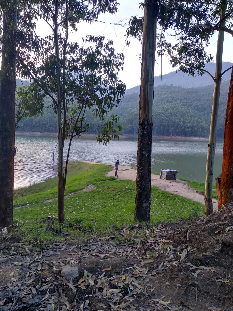 Photo of Echo Point, kulukkumalai, Munnar, Kerala, India by Dr Neeraj Garg