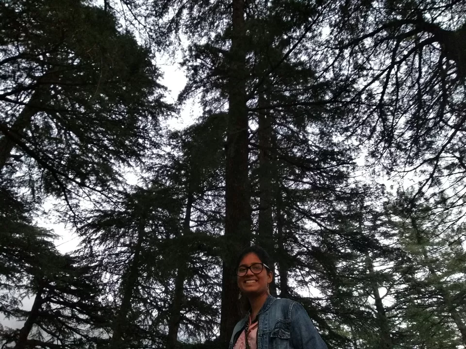 Photo of Naddi, Dharamshala, Himachal Pradesh, India by Dr Neeraj Garg