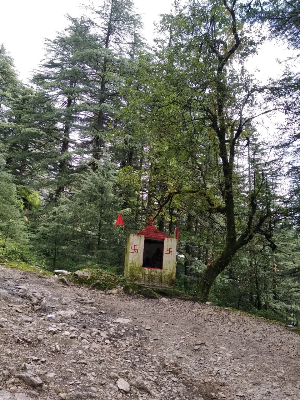 Photo of Dharamkot, Dharamshala, Himachal Pradesh, India by Dr Neeraj Garg