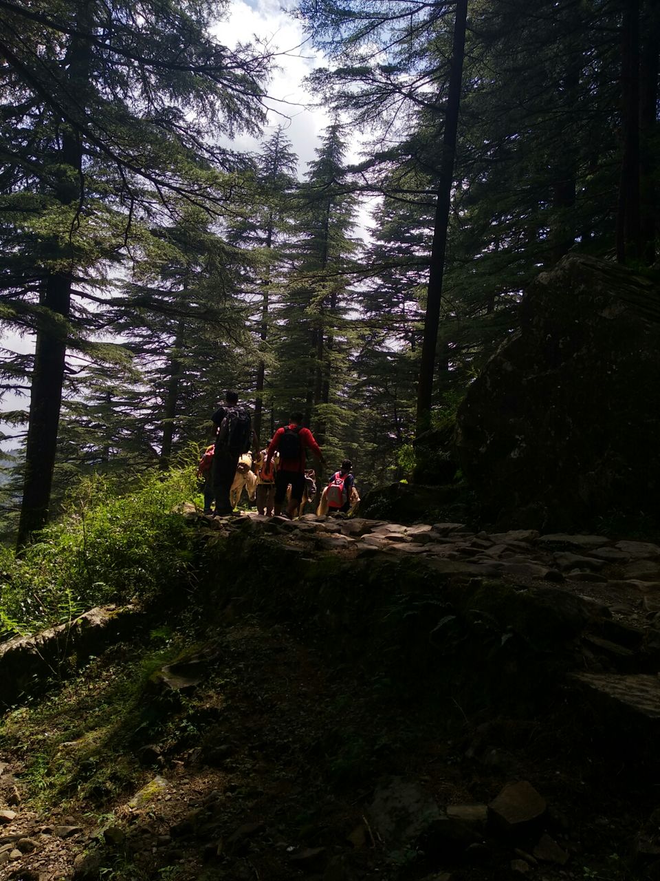 Photo of Dharamkot, Dharamshala, Himachal Pradesh, India by Dr Neeraj Garg