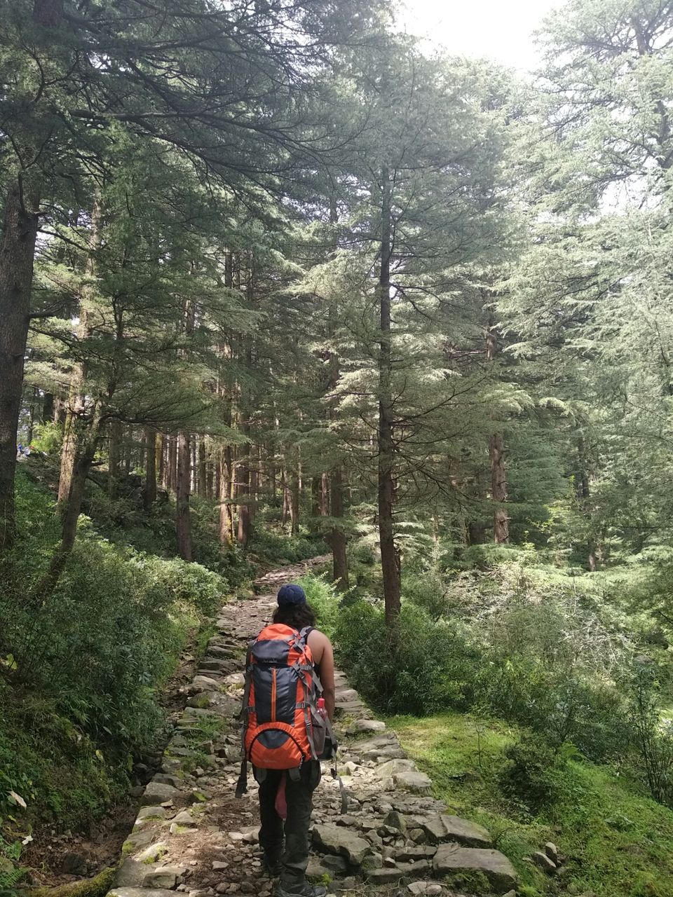 Photo of Dharamkot, Dharamshala, Himachal Pradesh, India by Dr Neeraj Garg