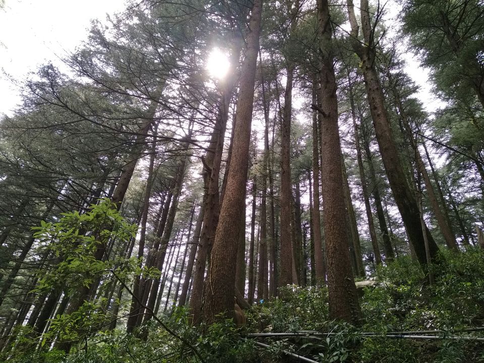 Photo of Dharamkot, Dharamshala, Himachal Pradesh, India by Dr Neeraj Garg