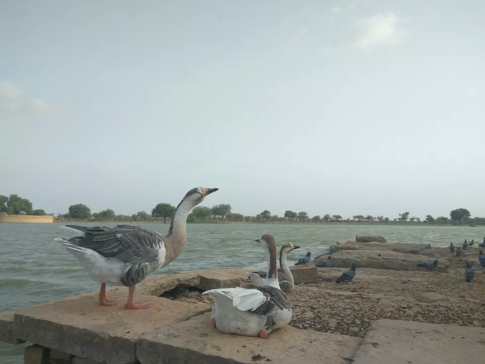 Photo of Jaisalmer, Rajasthan, India by Dr Neeraj Garg