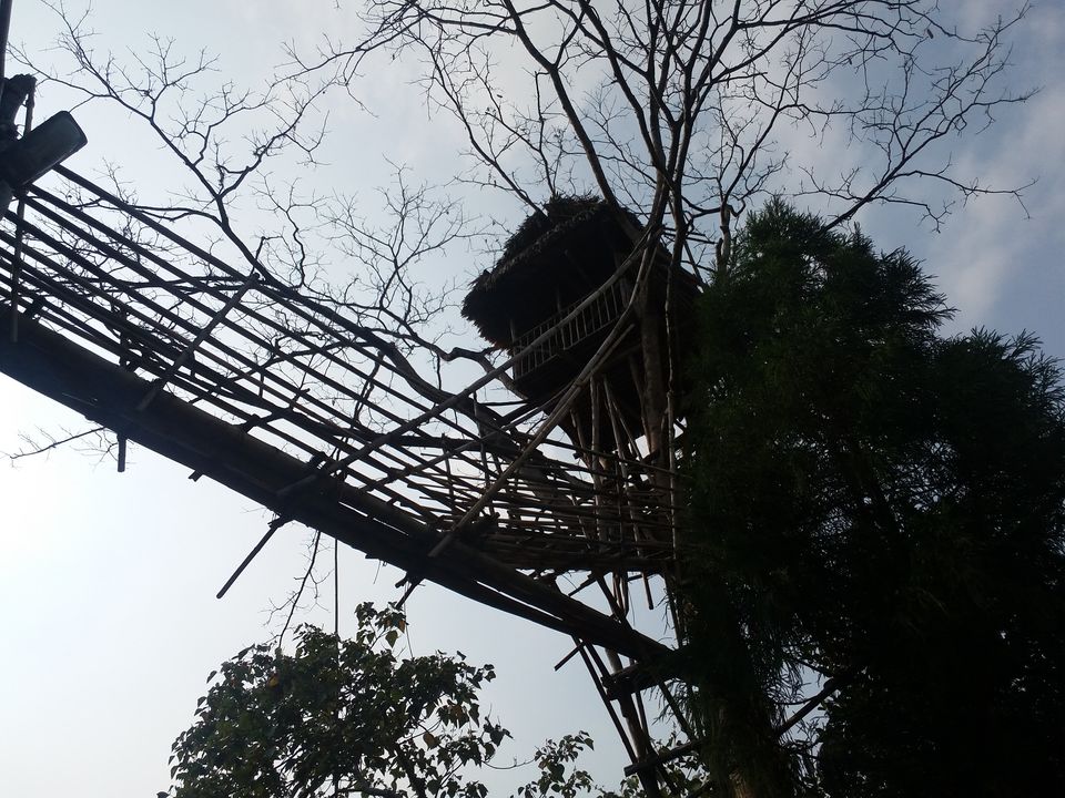 Photo of World Longest Living Root Bridge #MEGHALAYA 15/18 by Dr Neeraj Garg