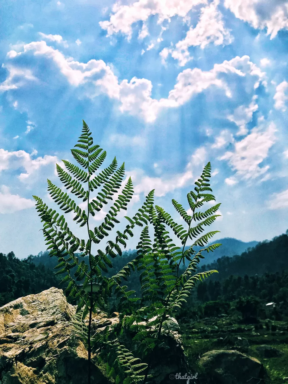 Photo of Himalyan Foothills Of Kausani! 3 Day Escapade. by Nida