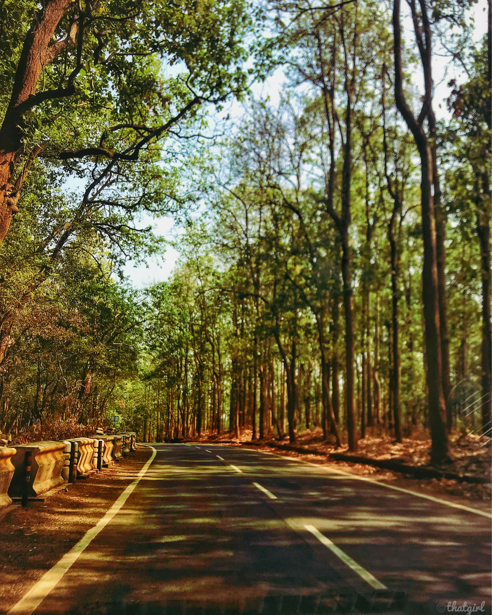Photo of Himalyan Foothills Of Kausani! 3 Day Escapade. by Nida