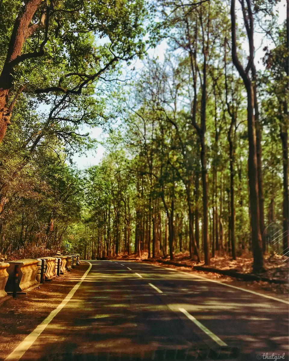 Photo of Himalyan Foothills Of Kausani! 3 Day Escapade. by Nida
