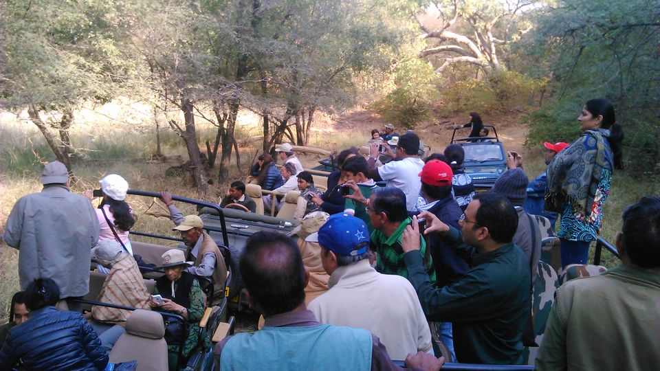 Photo of Ranthambore : People talk to animals 6/15 by Suvil sharma