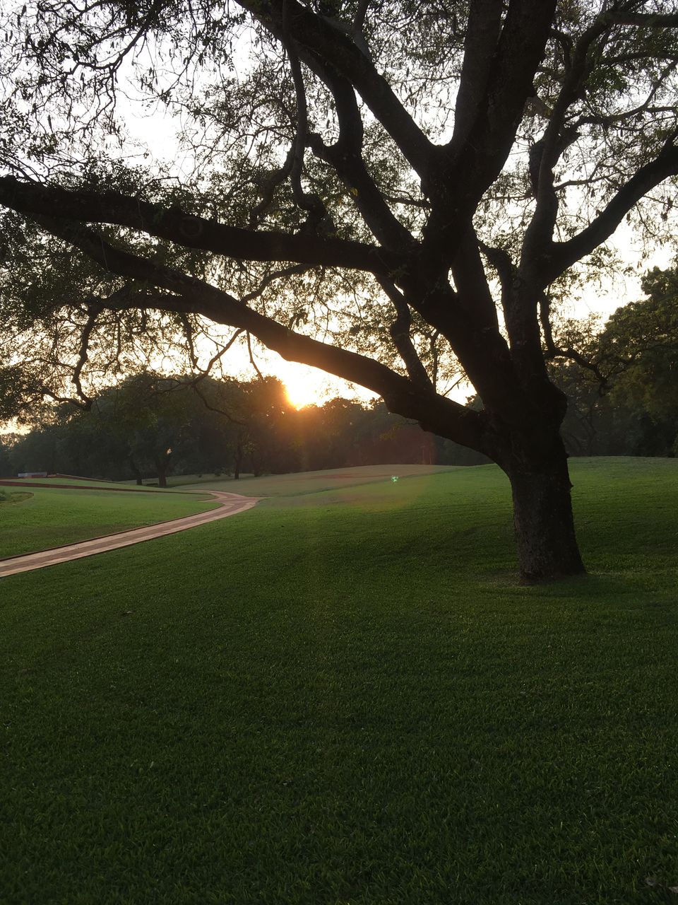 Photo of My Volunteering experience at Auroville- Solo Travel 1/7 by Rushina Thacker