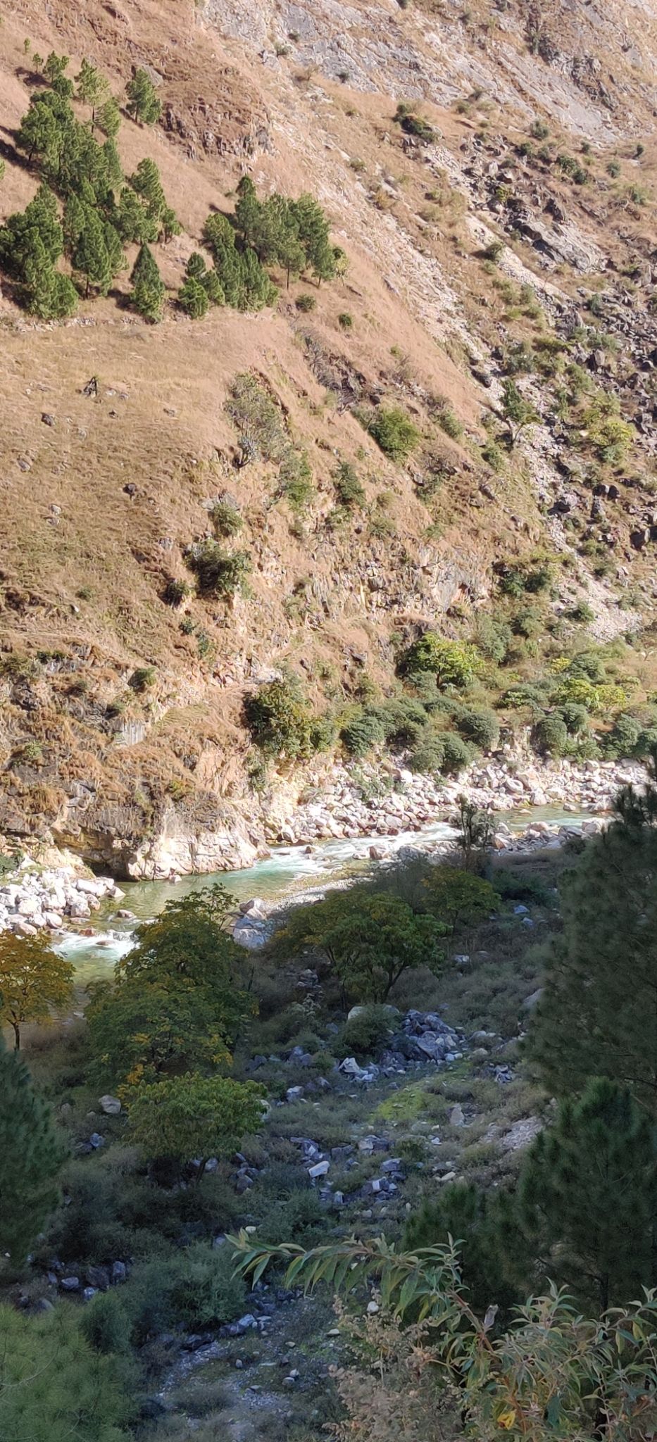 Photo of The Pristine Paths of Jibhi-Jalori Pass by Aparupa Datta