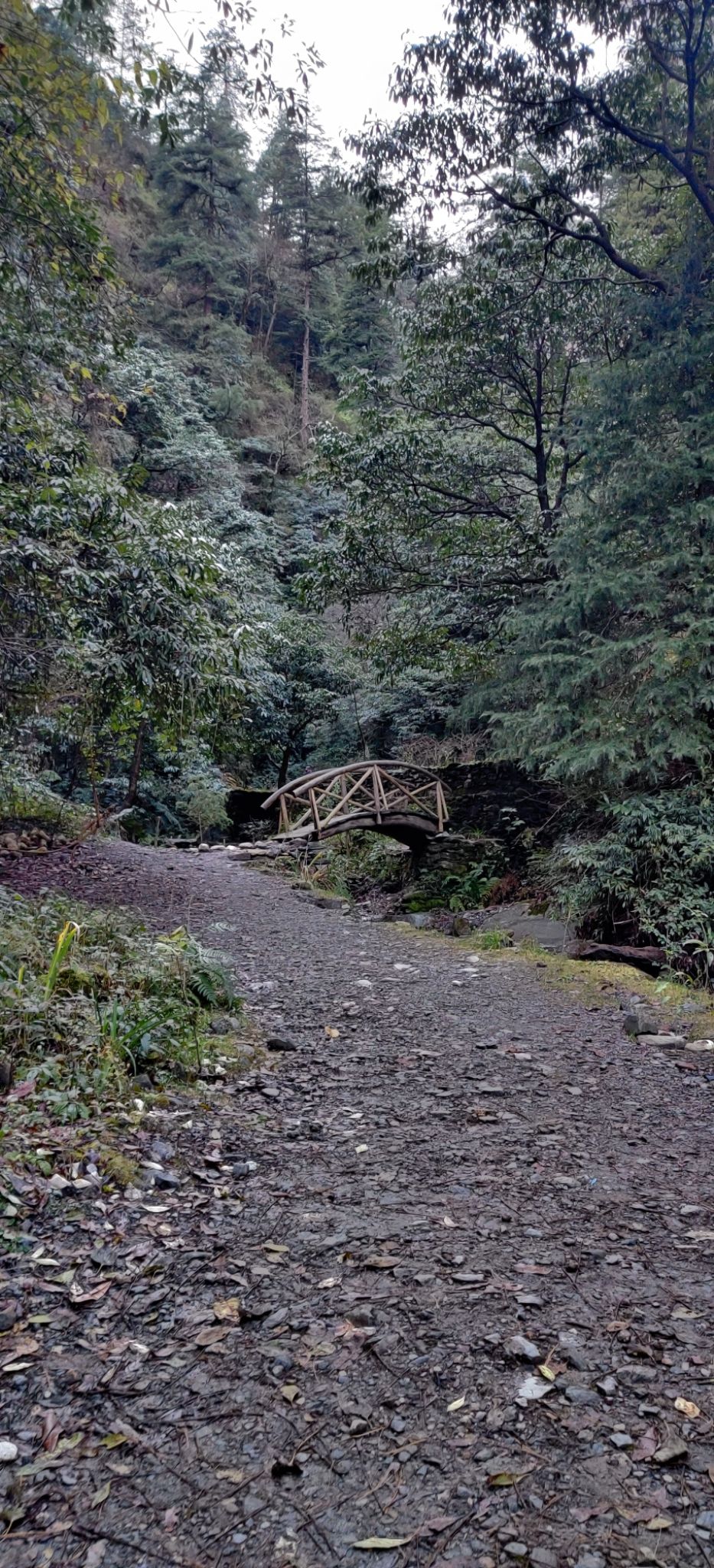 Photo of The Pristine Paths of Jibhi-Jalori Pass by Aparupa Datta